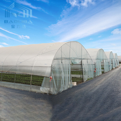 Rumah Kaca Plastik Terowongan Ventilasi Atap Dengan Sistem Pendingin