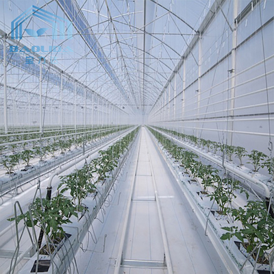 Tunnel Greenhouse Galvanized Steel Frame Structure Pipe Pe UV Plastik Film Vergetables Single-span Greenhouse