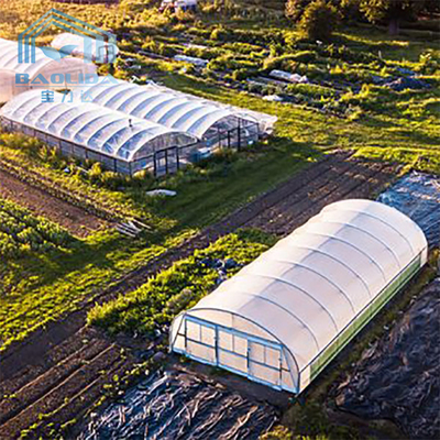 Aquaponis Growing Poly Tunnel Plastic Greenhouse Untuk Pertanian