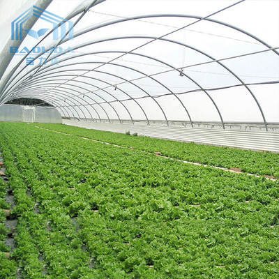 Aquaponis Growing Poly Tunnel Plastic Greenhouse Untuk Pertanian