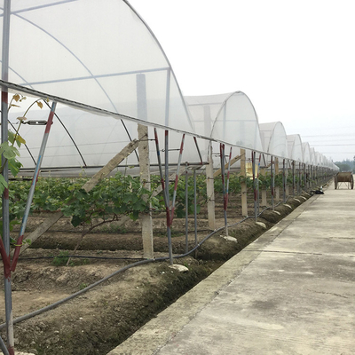Rumah Kaca Film Plastik Multi Arch Rainout Shelter Untuk Strawberry