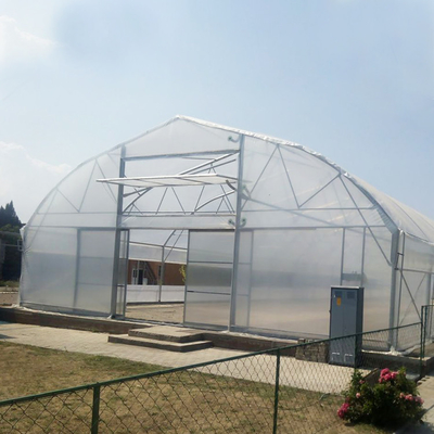 Pertanian High Tunnel Film Roller Clear Greenhouse Cover Film Plastik Single Tunnel Greenhouse