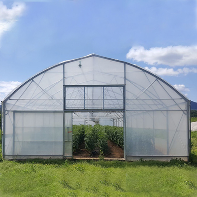 Pertanian High Tunnel Film Roller Clear Greenhouse Cover Film Plastik Single Tunnel Greenhouse