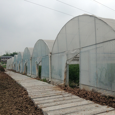 Pertanian Pertanian Terowongan Tinggi Multi Bentang Rumah Kaca Untuk Tumbuh Bunga