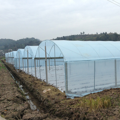 Film Plastik Pertanian Multi Span Greenhouse Tomat Strawberry Hidroponik
