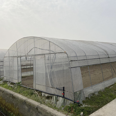Tunnel Greenhouse Galvanized Steel Frame Structure Pipe Pe UV Plastik Film Vergetables Single-span Greenhouse