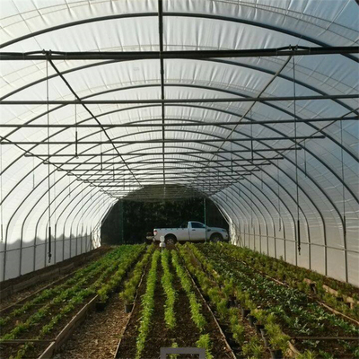 Terowongan Bingkai Logam Hidroponik Rentang Tunggal Rumah Kaca Pertanian Pertanian Tumbuh