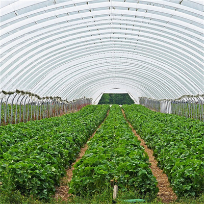 Terowongan Bingkai Logam Hidroponik Rentang Tunggal Rumah Kaca Pertanian Pertanian Tumbuh