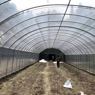 Single Span Plastic Tunnel Greenhouse Strawberry Sistem Tumbuh Hidroponik