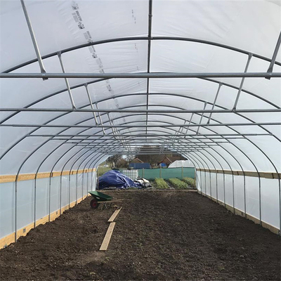 Single Span Plastic Tunnel Greenhouse Strawberry Sistem Tumbuh Hidroponik