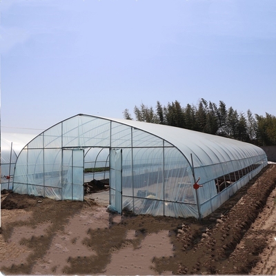 Rumah Kaca Film Polyethylene High Hoop Arch Pertanian Untuk Penanaman