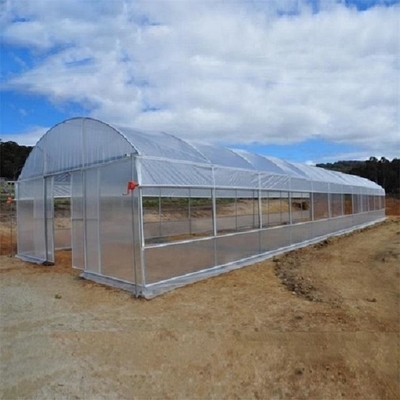 Pertanian Single Span Hot Dip Galvanized Pipe Tunnel Rumah Kaca Plastik Untuk Strawberry