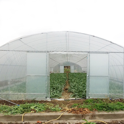 Tunnel Greenhouse Galvanized Steel Frame Structure Pipe Pe UV Plastik Film Vergetables Single-span Greenhouse
