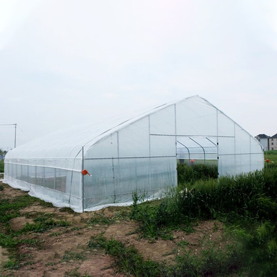 Terowongan Bunga Plastik Rumah Kaca Sayuran Tumbuh Rumah Kaca Span Tunggal