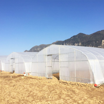 Terowongan Tinggi 150 Micron PE Film Single Span Greenhouse Untuk Proyek Pertanian