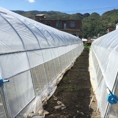 Terowongan Tinggi 150 Micron PE Film Single Span Greenhouse Untuk Proyek Pertanian