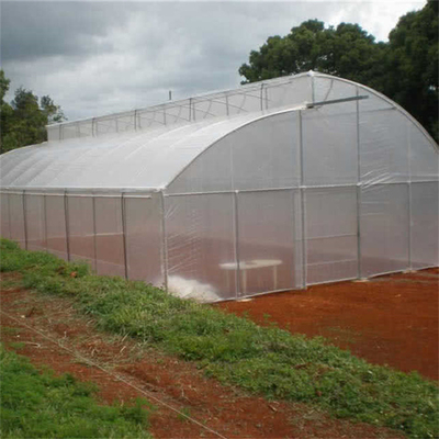 Lebar 10m 8m Tunnel Plastic Sawtooth Top Vent Greenhouse Untuk Strawberry Growing