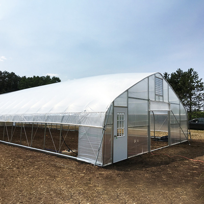 Tunnel Greenhouse Galvanized Steel Frame Structure Pipe Pe UV Plastik Film Vergetables Single-span Greenhouse