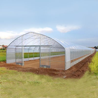 Rumah Kaca Poli Teknologi Plastik Ukuran Besar / Rumah Kaca Rentang Pertanian Tunggal
