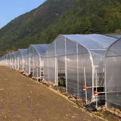 Film Plastik Gotik Terowongan Tinggi Meliputi Rumah Kaca Span Tunggal Untuk Tumbuhan Tanaman