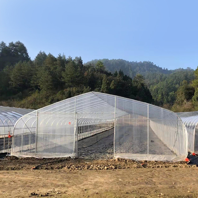 Rumah Kaca Film Polyethylene Terowongan Hoop Tinggi Untuk Pertanian