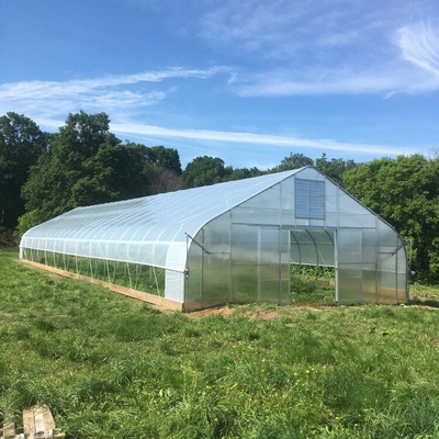 Tunnel Greenhouse Galvanized Steel Frame Structure Pipe Pe UV Plastik Film Vergetables Single-span Greenhouse