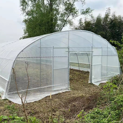 Strawberry Growing Side Ventilasi Rumah Kaca Span Tunggal Untuk Pertanian
