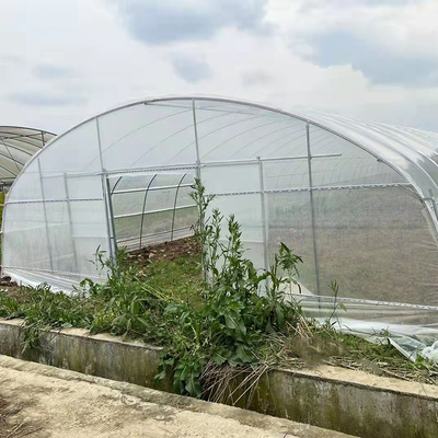 Strawberry Growing Side Ventilasi Rumah Kaca Span Tunggal Untuk Pertanian