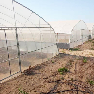 Pertanian Sayuran Tumbuh Hoop House Film Terowongan Rumah Kaca