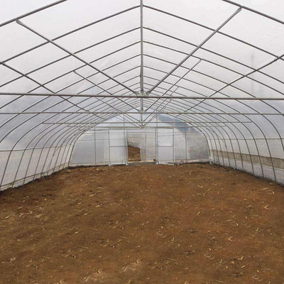 Single Span High Tunnel Greenhouse Single Layer Film Untuk Tomat Pertanian