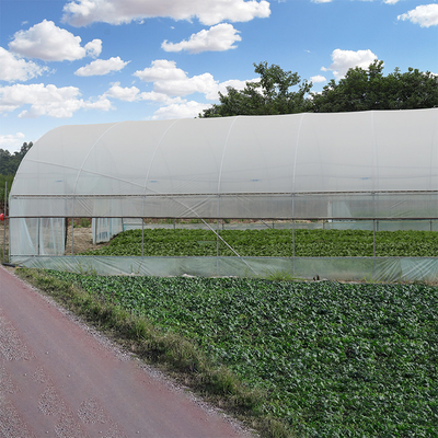 Rangka Baja Galvanis Luar Ruangan Rumah Kaca Lembaran Plastik Film Terowongan Pertanian
