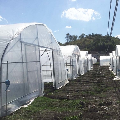 Polytunnel Cooling System Tunnel Plastic Greenhouse Dengan Kipas Sirkulasi