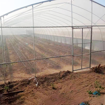 Terowongan Plastik Rentang Tunggal Rumah Kaca Komersial Pertanian