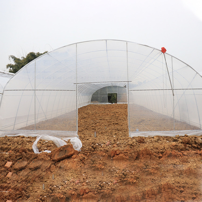 8m 9m Lebar Rumah Kaca Plastik Terowongan Vertikal Rentang Tunggal Untuk Tanaman Tumbuh