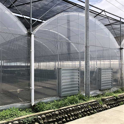 Pipa Baja Galvanis Film Plastik Pertanian Multi Span Tunnel Greenhouse Untuk Sayuran