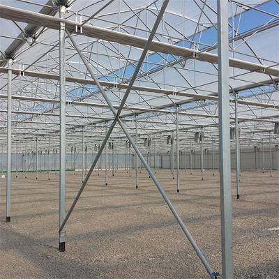 Strawberry Seedbed Nursery Multi Span Greenhouses dengan Inner Shading System