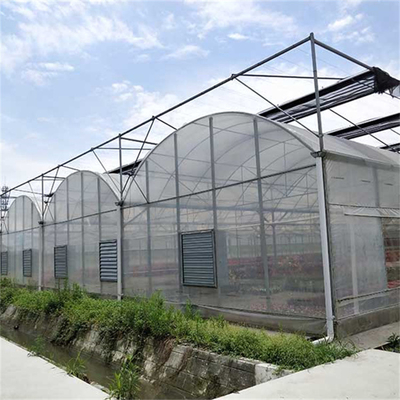 Terowongan Tinggi Talang Sirkulasi Udara Rumah Kaca Multi Span untuk Tumbuh Bunga