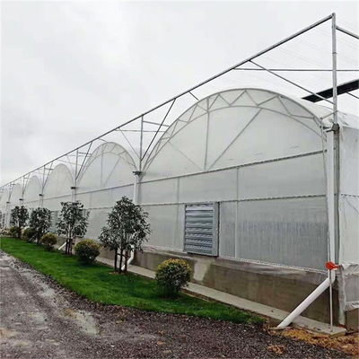 Terowongan Tinggi Talang Sirkulasi Udara Rumah Kaca Multi Span untuk Tumbuh Bunga