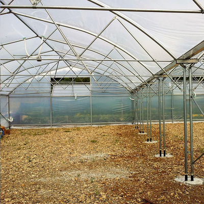 Rangka Baja Galvanis Multi Span Pertanian Rumah Kaca Bunga Tumbuh Sayuran