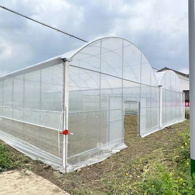 Film PE Plastik Rumah Kaca Multi Span Terowongan Tinggi Untuk Strawberry