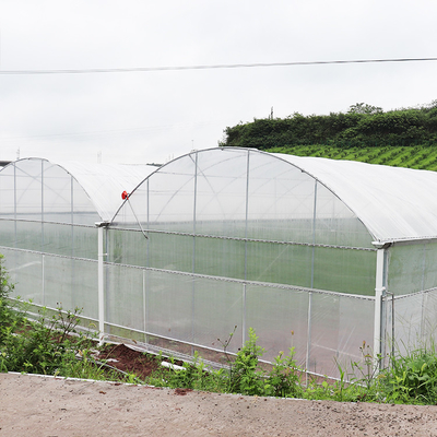 Film PE Plastik Rumah Kaca Multi Span Terowongan Tinggi Untuk Strawberry