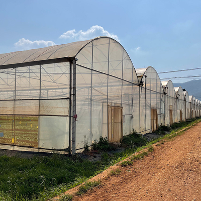 Sistem Tumbuh Pertanian Film Plastik Rumah Kaca Multi Span Untuk Budidaya