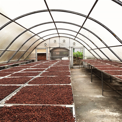 Chilli Drying Dome PC Board Pemanas Pengering Rumah Kaca Surya Untuk Pertanian Pertanian