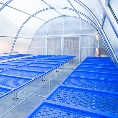 Solar Single Tunnel Greenhouse Polycarbonate Sheet Pengeringan Karet Alam