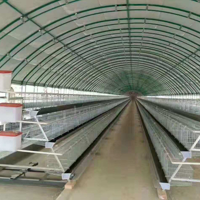 Peternakan Unggas Rumah Kaca Terowongan Poli Untuk Ayam Domba