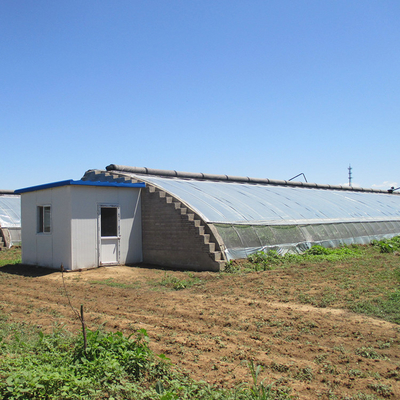 Rumah Kaca Surya Pasif Tomat Dengan Ventilasi Listrik Menggulung