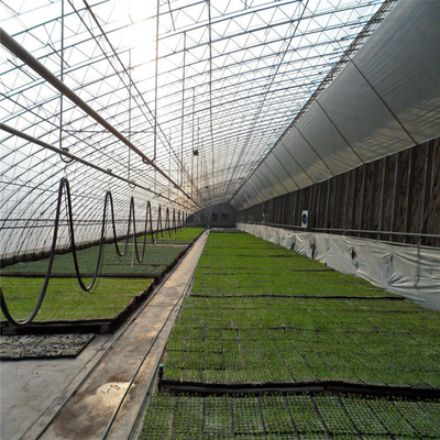 Pertanian Pertanian Surya Hidroponik Rumah Kaca Pasif Solar
