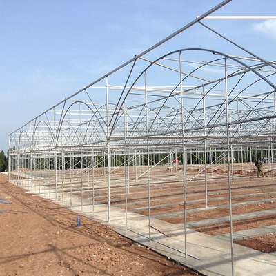Rumah Kaca Multi Bentang Industri Plastik Komersial Pertanian Untuk Penanaman Tomat