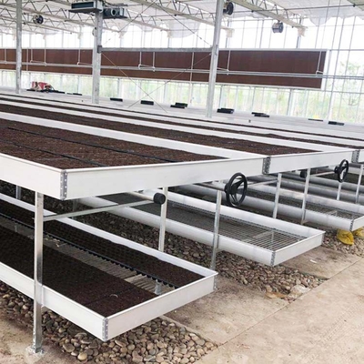 Komersial Greenhouse Rolling Benches / Benih Benih Rumah Kaca Bench untuk Bunga