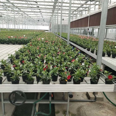Komersial Greenhouse Rolling Benches / Benih Benih Rumah Kaca Bench untuk Bunga